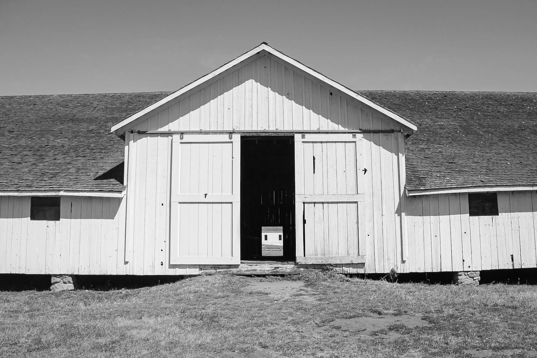 Photograph by Luke Murphy
