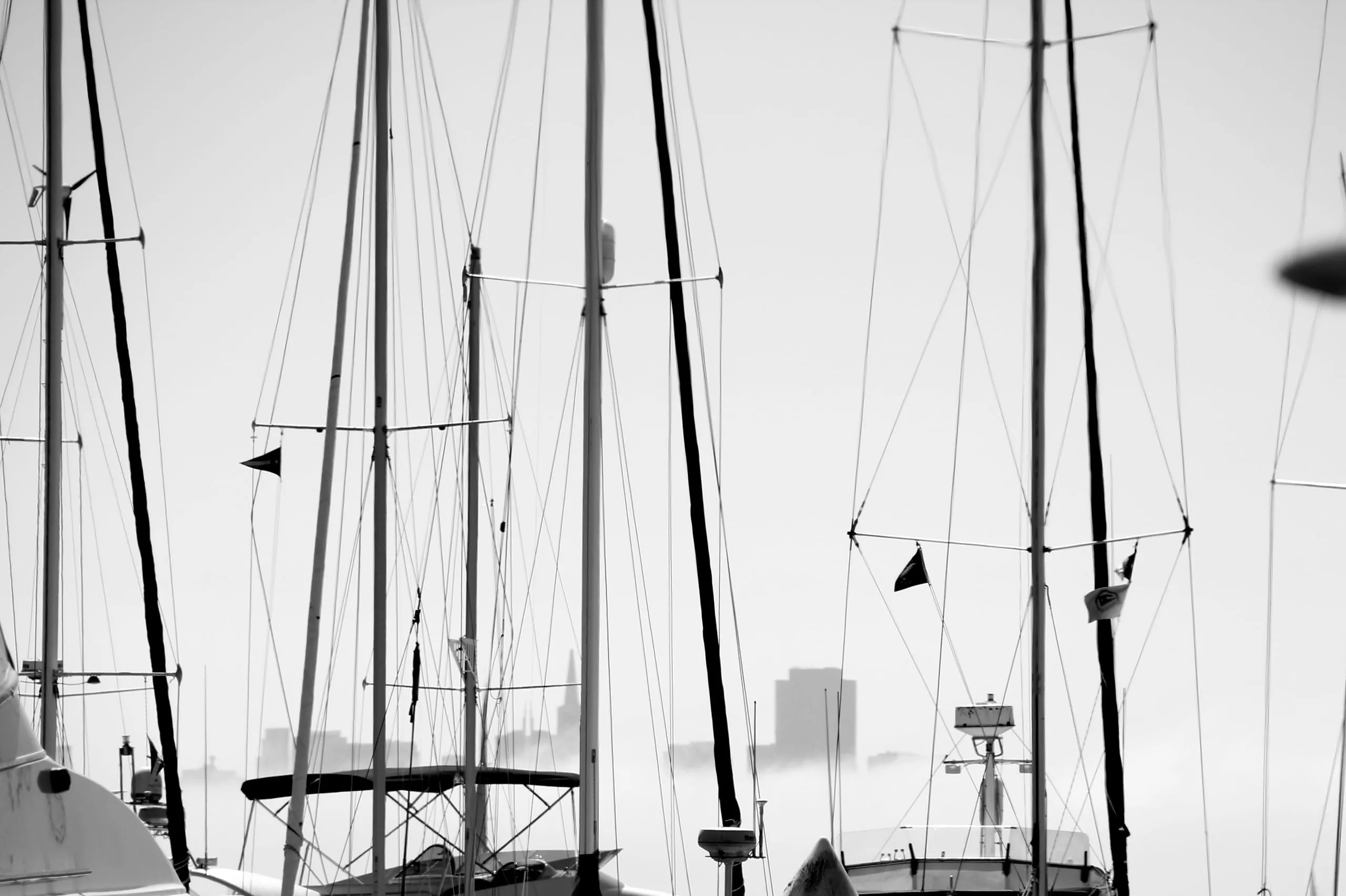 Photograph by Luke Murphy