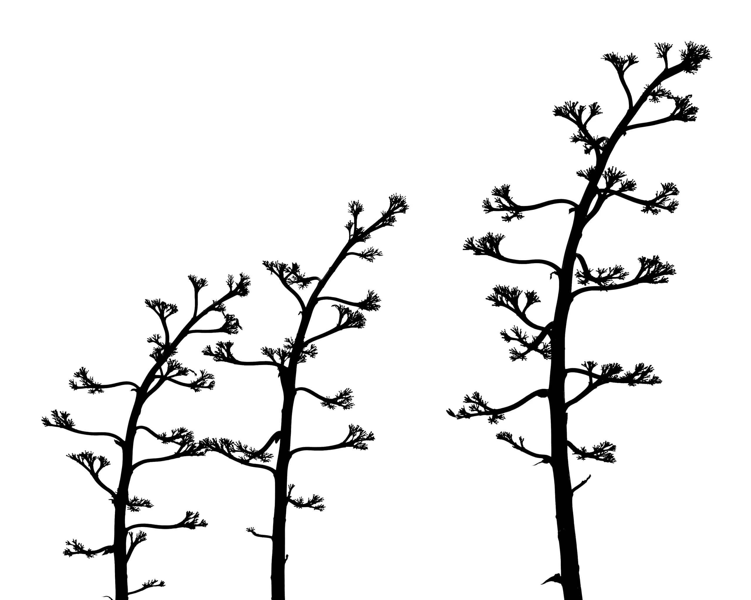 Photograph by Luke Murphy